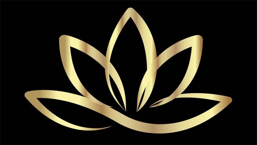 Lotus flower symbolising stillness and connection with nature